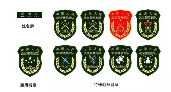 武警部队新式标志图片 武警部队新式标志图片